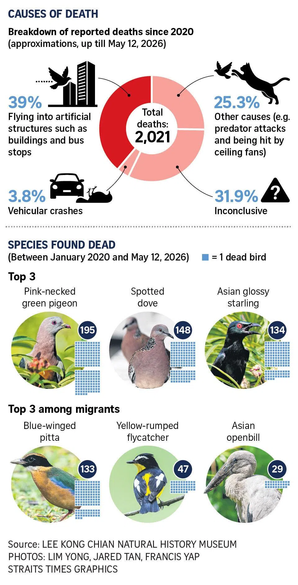Graphic on causes of bird deaths in Singapore and species found dead