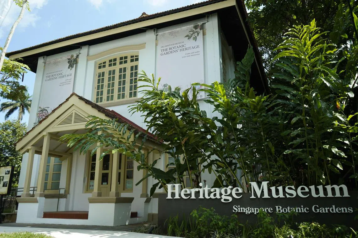 The refreshed Singapore Botanic Gardens Heritage Museum is located in the Tanglin Core of the Singapore Botanic Gardens, near Botany Centre.