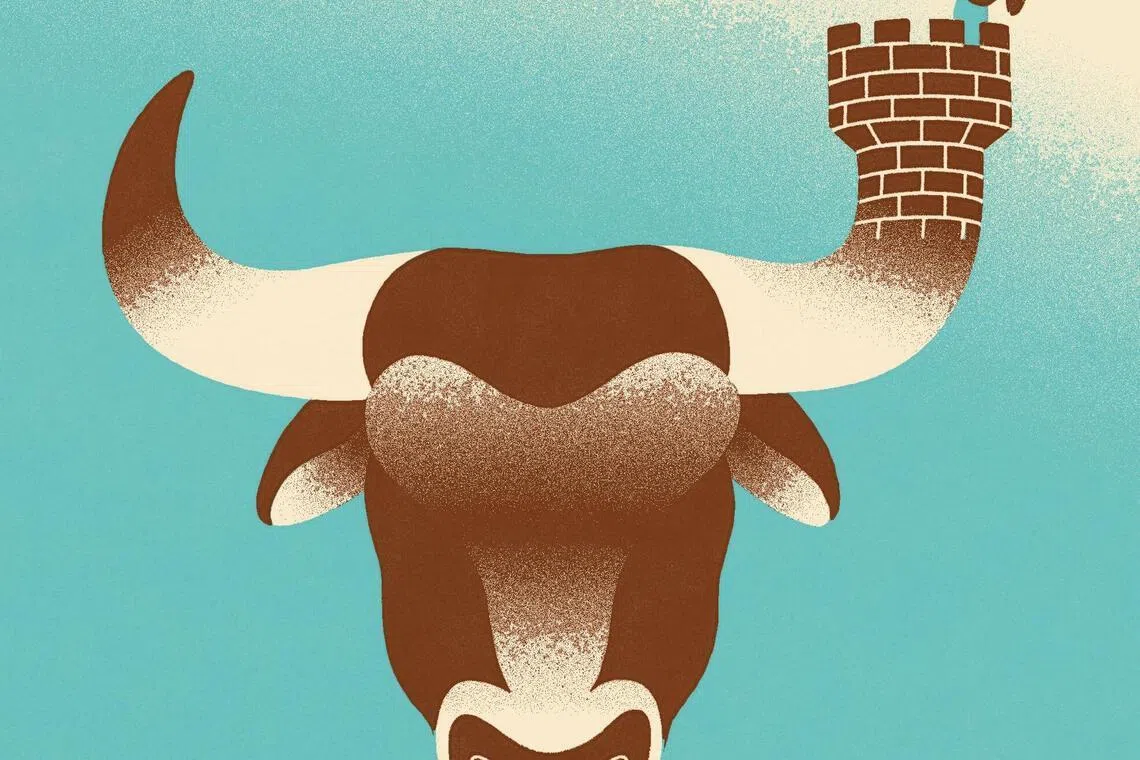 Aside from global conflicts, any number of problems within the United States could set back the seemingly unstoppable US stock market.