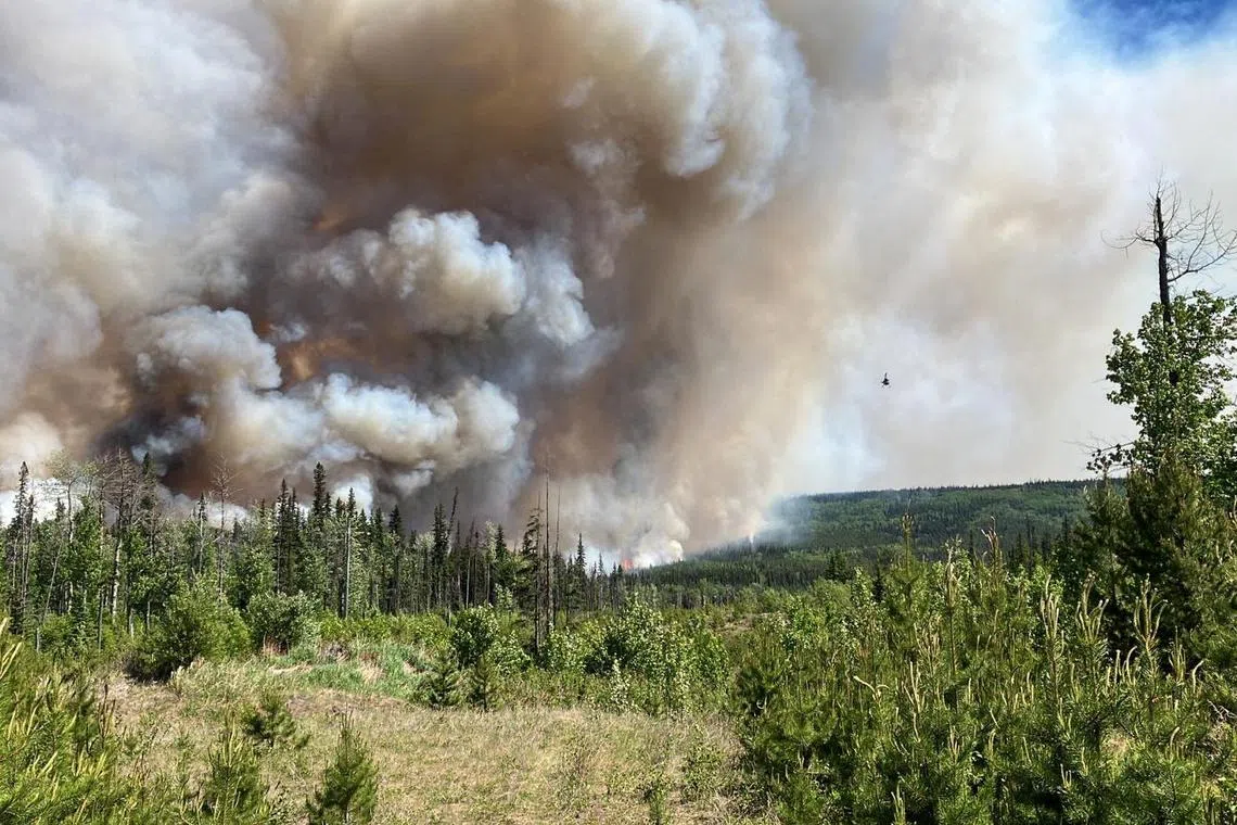 Smoke billowing from the West Kiskatinaw River and Peavine Creek wildfires in the Dawson Creek Zone, British Columbia, Canada, on June 7, 2023.