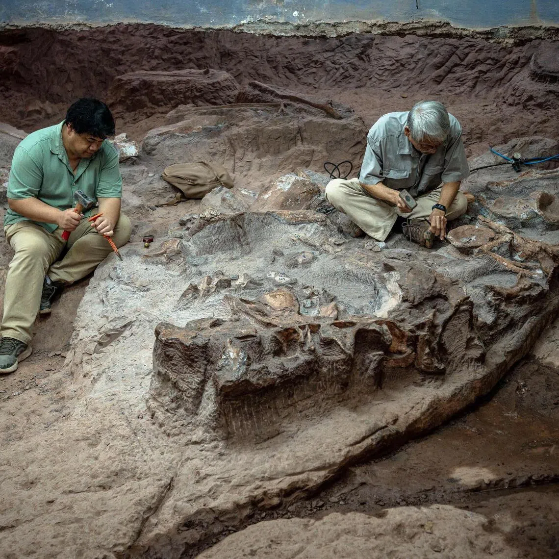Palaeontologist Varavudh Suteethorn (right) and his son Suravech Suteethorn excavate a dinosaur fossil at Phu Wiang National Park in Khon Kaen.