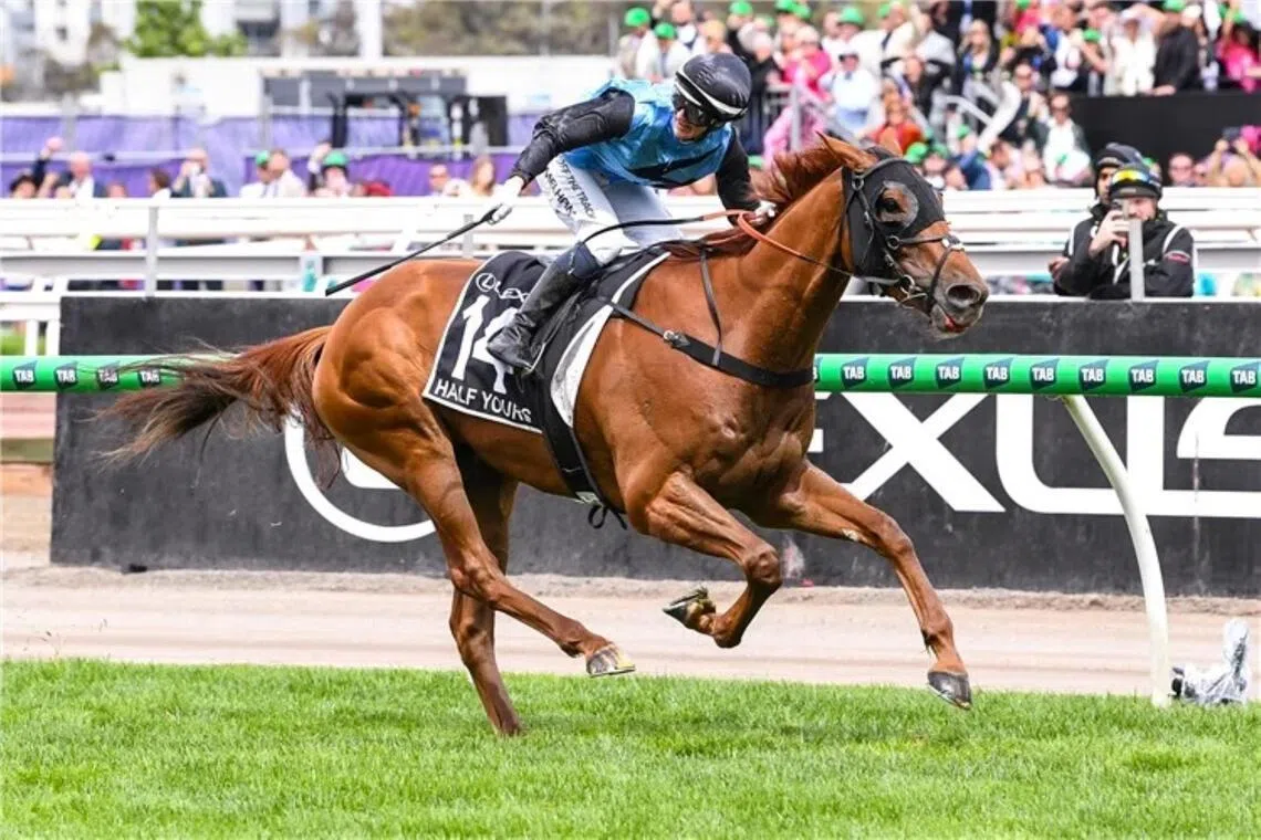 Half Yours - Half Yours


PHOTO: RACING PHOTOS