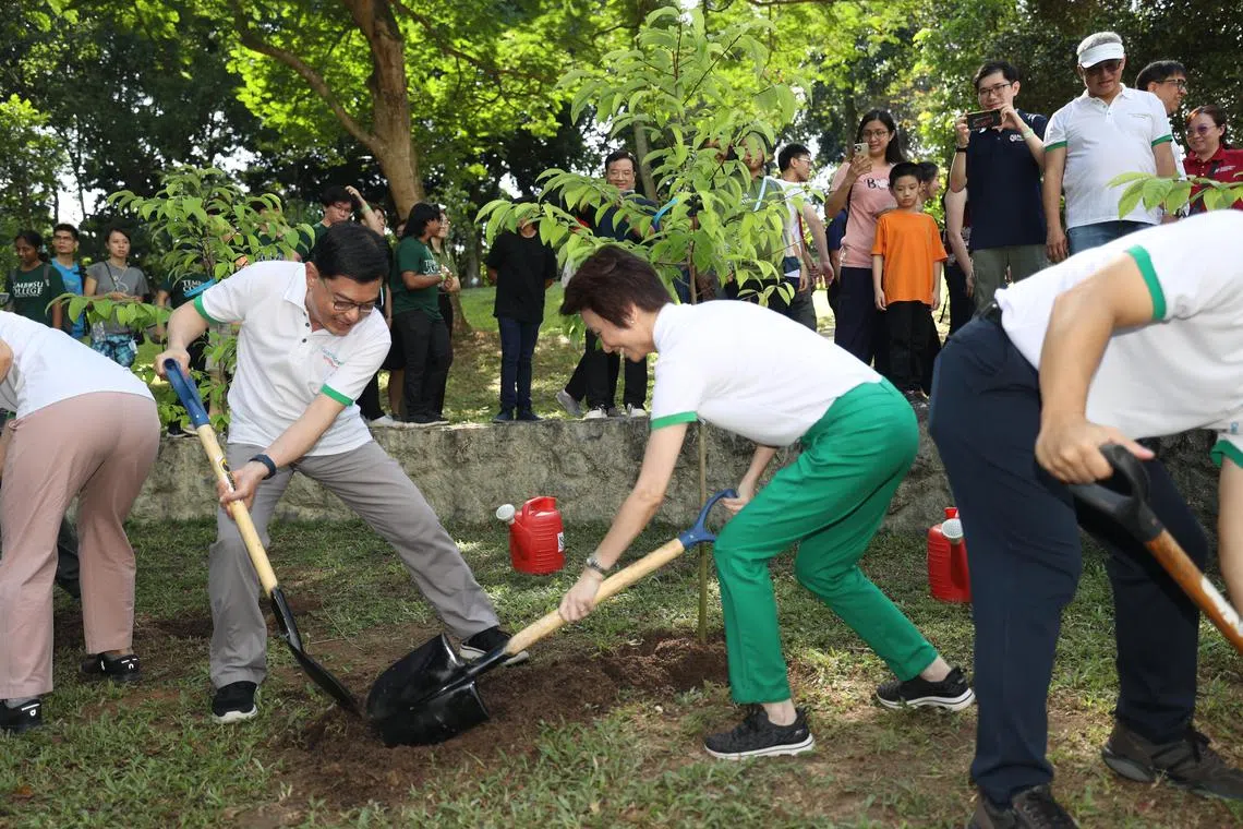 CMG20241103-TayYM01/郑一鸣/李思邈/Clean & Green Singapore Day 2024 [NUS UTown, Stephen Riady Centre, College Ave West, S'138607] Tree-planting ceremony at NUS UTown