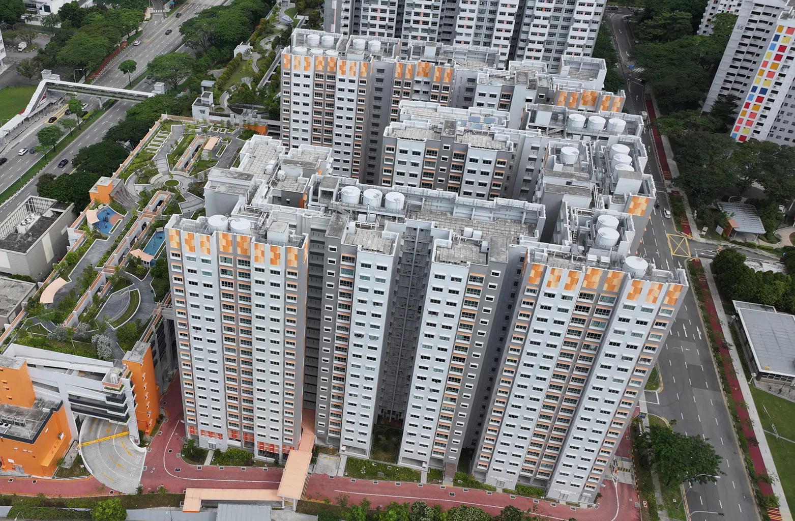 MacPherson Blossom BTO overview