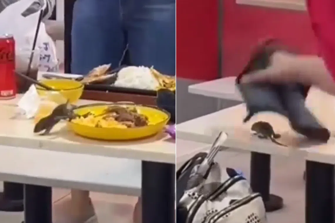 A rodent is seen poking its nose at a plate of food before scurrying across the table at a foodcourt, identified by some social media users as the foodcourt in Lucky Plaza.
