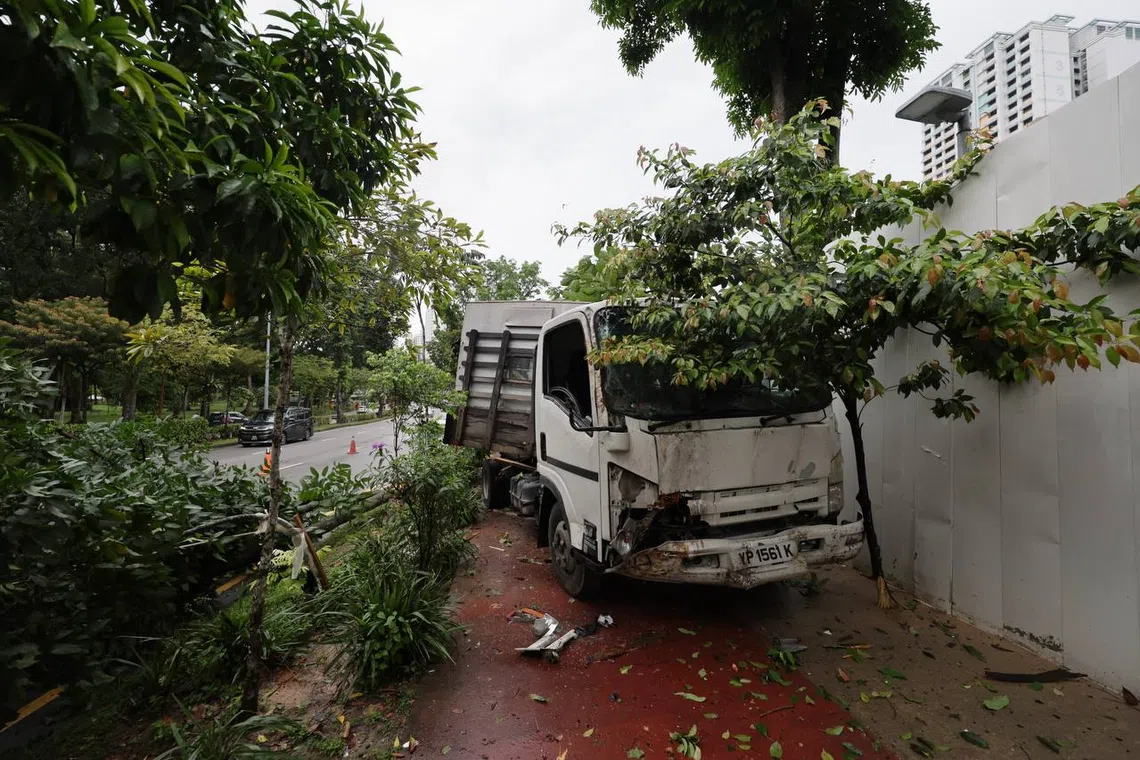A lorry allegedly crashed into a few trees on Ang Mo Kio on April 17.