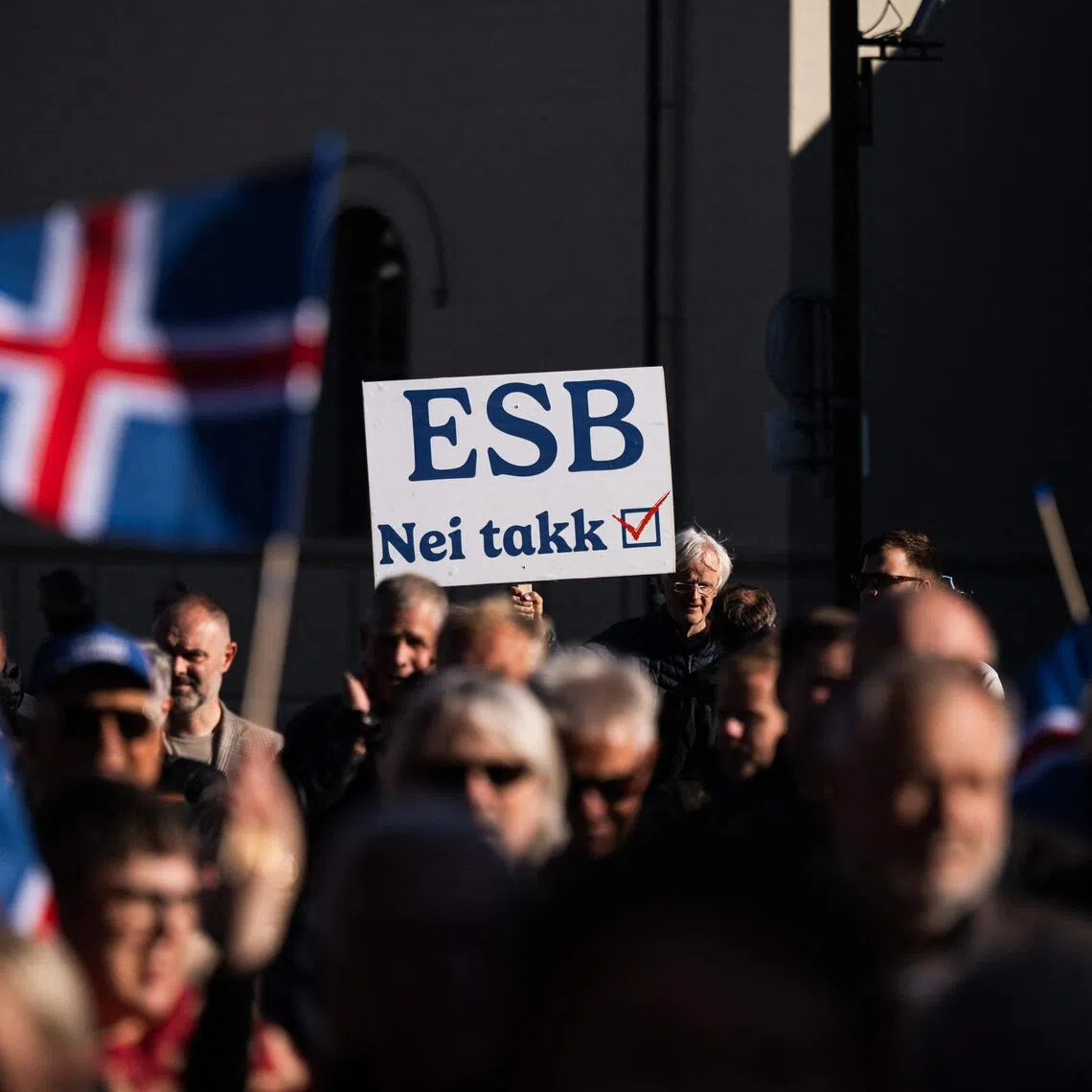 A supporter of the ‘No’ campaign displays a placard against the EU (’EU – no thanks’), during a rally in Reykjavik on Aug 27.
