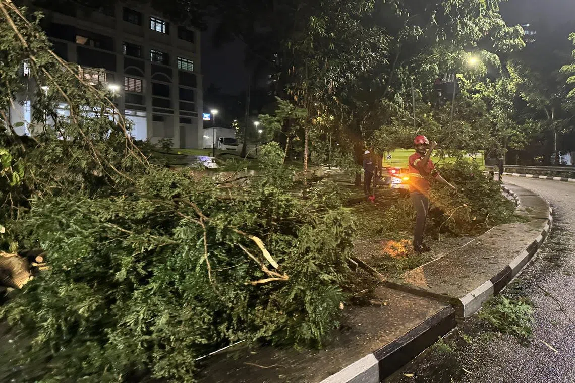 Worker clearing a fallen tree along Hougang Street 92 at about 9.15pm on Sept 17, 2024.
