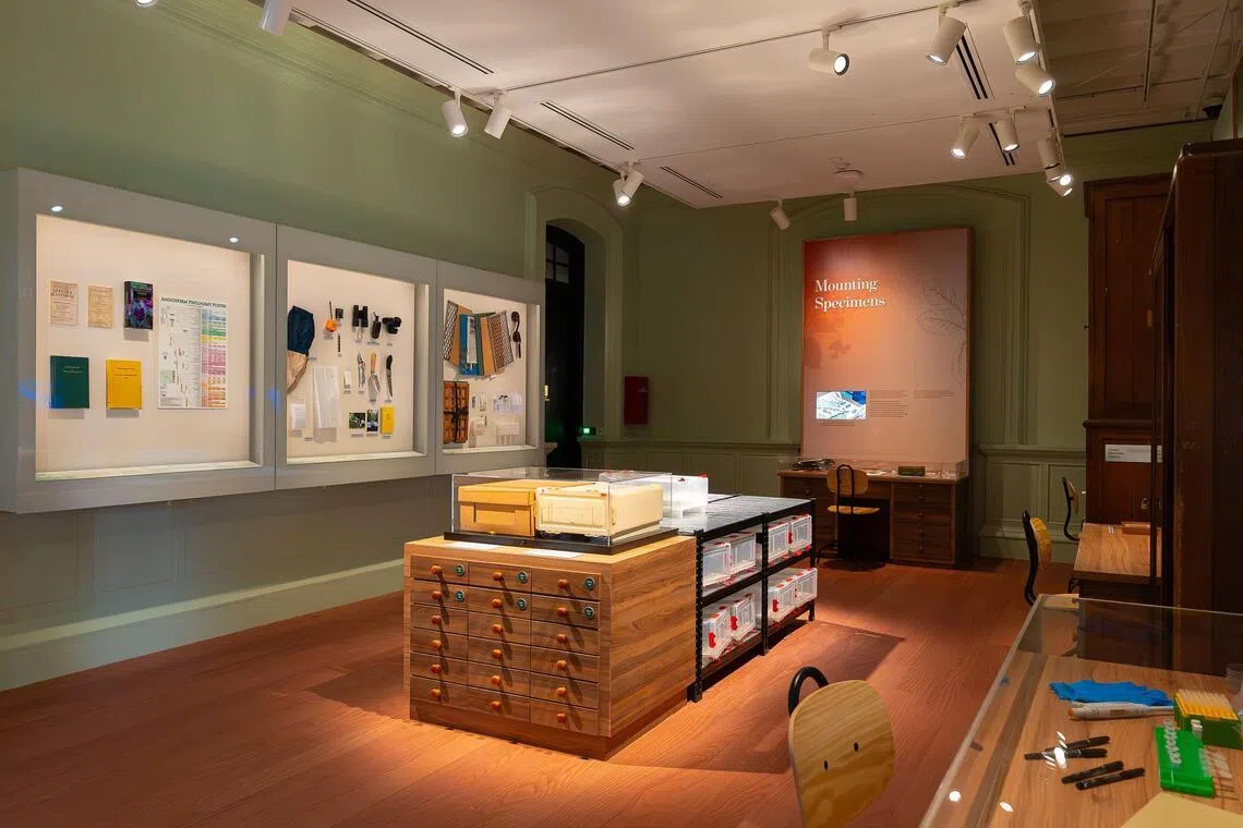 Parents and children follow a trail of clues through the Pressing Plant Matters exhibition.