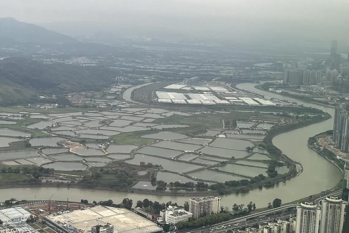 mfopinion - A view of the swathe of farmland set to be affected by redevelopment for the Northern Metropolis mega project along Hong Kong's border with Shenzhen (separated by the river; this pic was taken from SZ side). 

Credit: Magdalene Fung