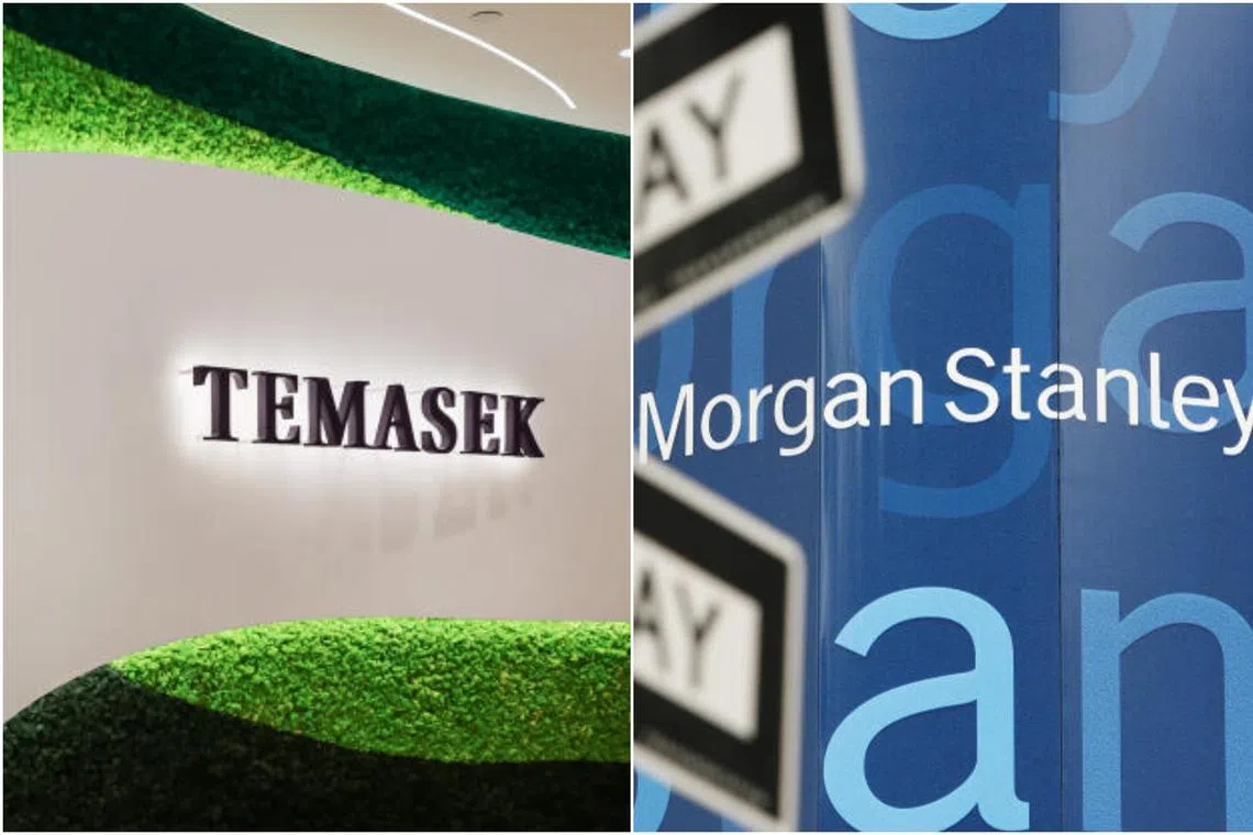 Temasek and Morgan Stanley were among Australian venture capital firm Main Sequence's backers.