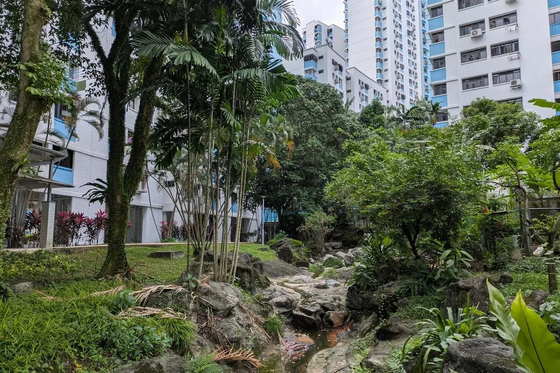 The dry stream in Pangshan Grove that Ms Tay Bee Choo designed.
