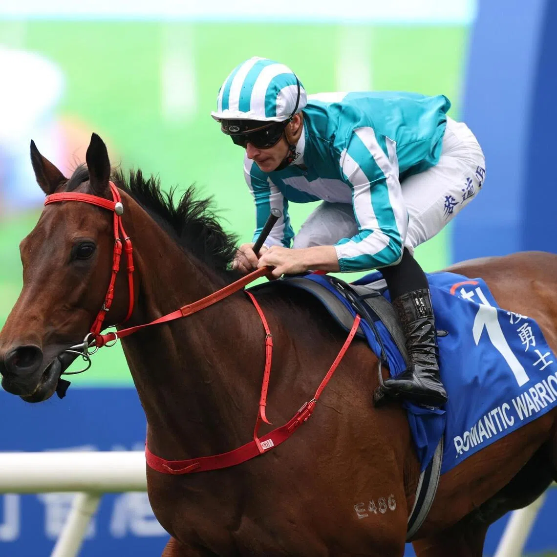 Hong Kong superstar Romantic Warrior is eased down to the line by James McDonald as they rout their five rivals in the Group 1 The Citi Hong Kong Gold Cup (2,000m) at Sha Tin on March 1.

