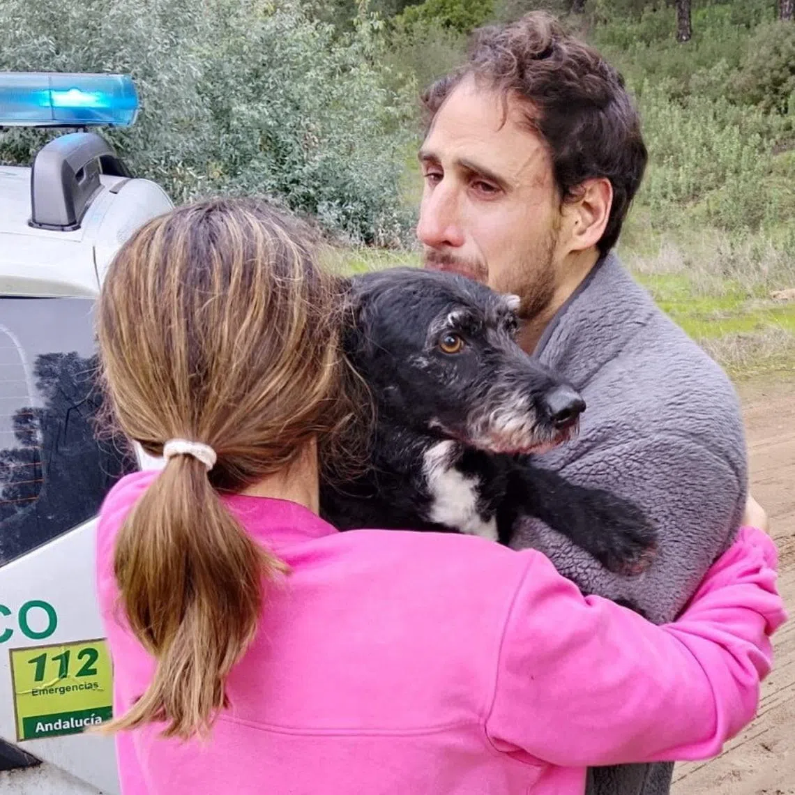 Boro was riding on one of the trains with his owner Ana Garcia Aranda and her pregnant sister at the time of the crash.