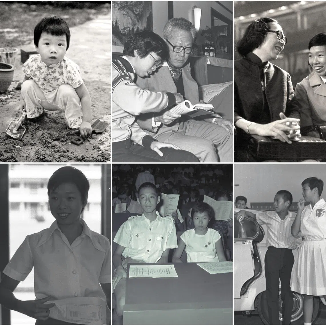 Dr Lee Wei Ling, the daughter of founding prime minister Lee Kuan Yew and only sister of Senior Minister Lee Hsien Loong and Mr Lee Hsien Yang, died at home on Oct 9.