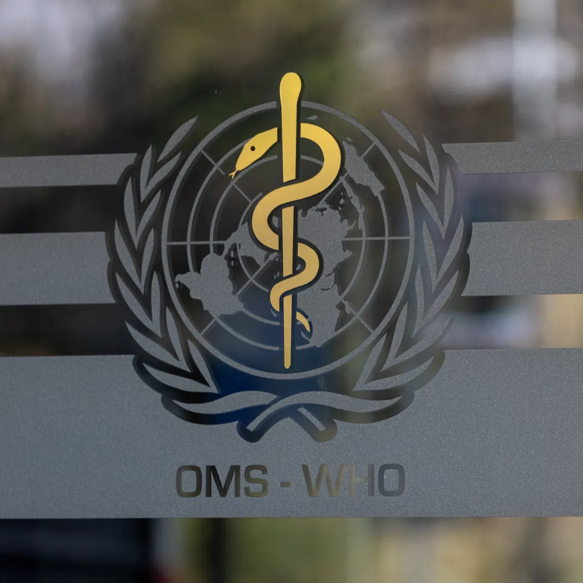 The coronavirus crisis plunged global life expectancy down to 71.5 years in 2021.