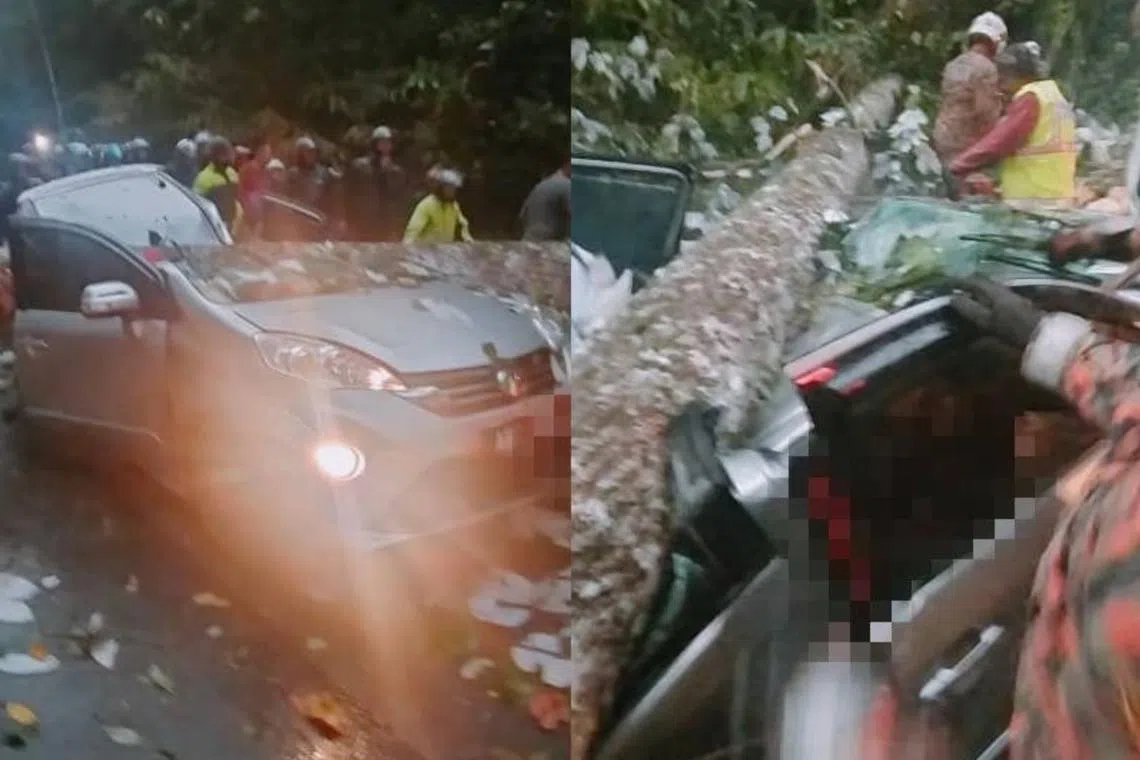 The woman was pronounced dead by medical personnel who were at the scene.