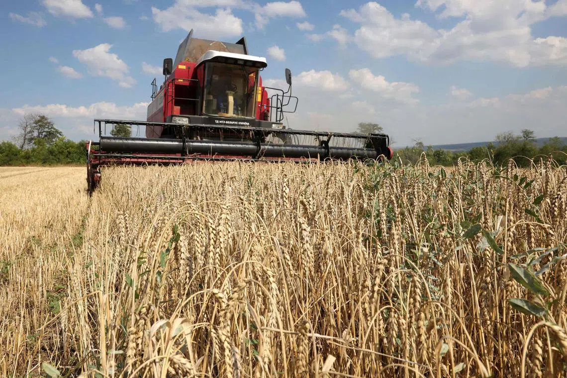 Ukraine will put in place measures to control the export of wheat, maize, rapeseed and sunflower seeds, to avoid upsetting markets in its EU neighbours.