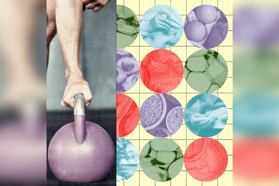 What to know about wellness catchphrase ‘metabolic health’