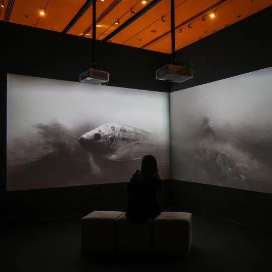 ST picks five works not to miss at the exhibitions, which are free for Singaporean citizens and permanent residents.