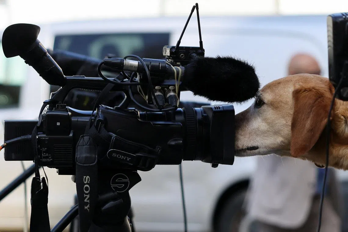 A member of the security personnel holding a dog near a camera, on the day delegates discuss future of stalled peace talks over the divided island of Cyprus at the United Nation in Geneva, Switzerland, on March 18, 2025. 