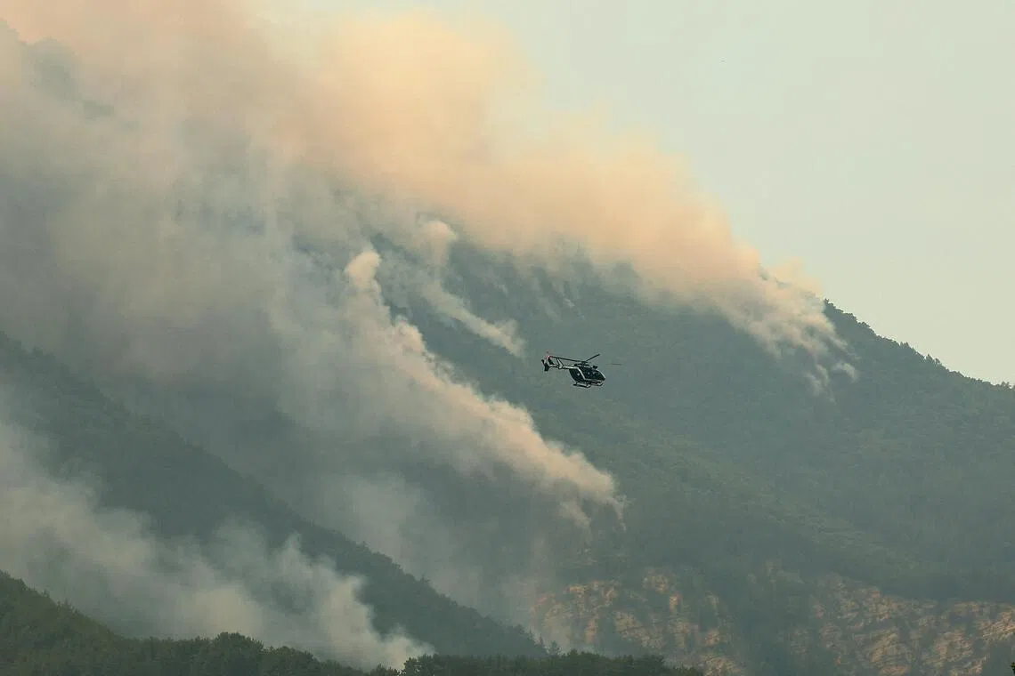 France wildfires burn twice as much land as last year: official