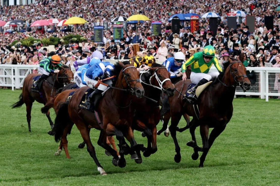 Almeraq breaks Japan’s hearts in Jubilee Stakes