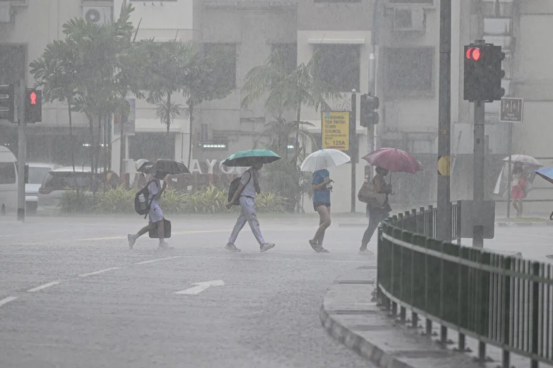 Short, thundery showers are expected over parts of Singapore on most afternoons for the last two weeks of May.