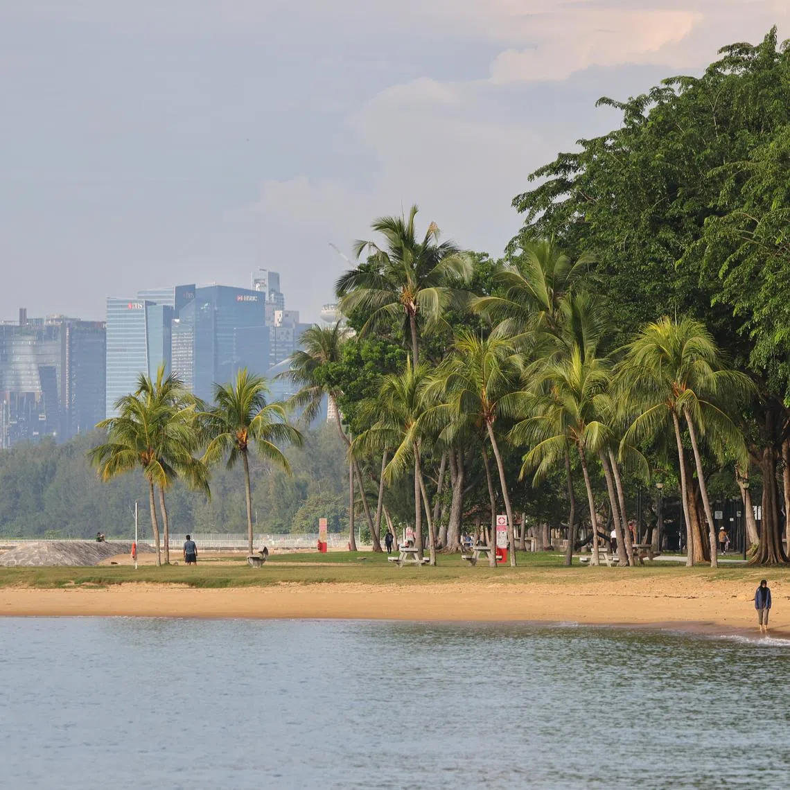 Experts say measures to protect sensitive marine habitats need to happen from day one.