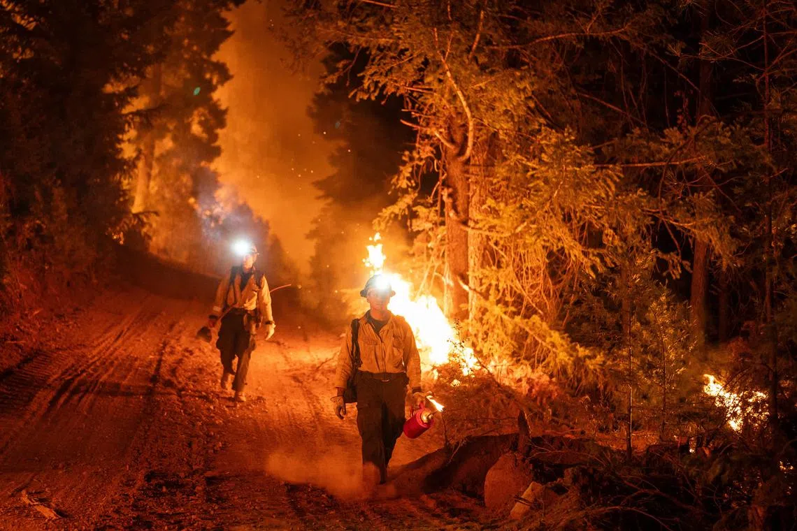 Firefighters monitor a controlled burn set along Highway 32 near Chico, California, while battling the Park Fire on July 29, 2024. 