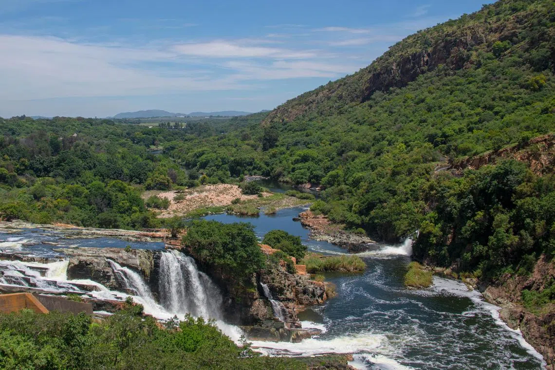 The victims – a man and a woman – were part of a group of 20 Singaporean tourists who were canoeing along the Crocodile River.