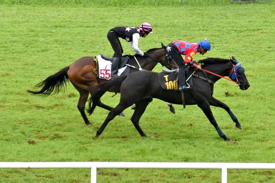 bmtrials18 - Super Manjung

PHOTO: SELANGOR TURF CLUB
photo to ST Racing folder