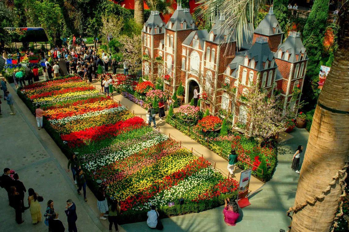 Gardens by the Bay named third top attraction in the world: Tripadvisor 2026 Travelers’ Choice Awards