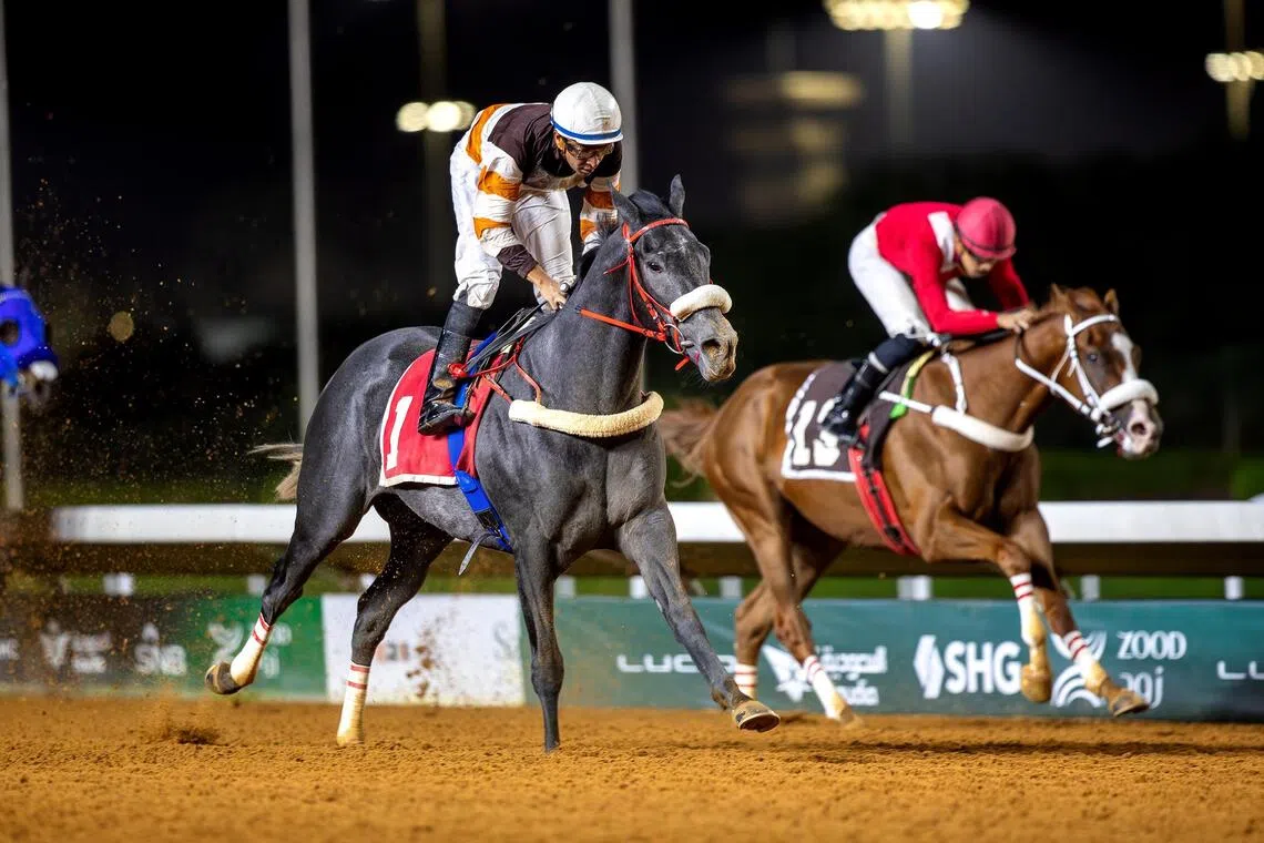 Nayaad to go one better