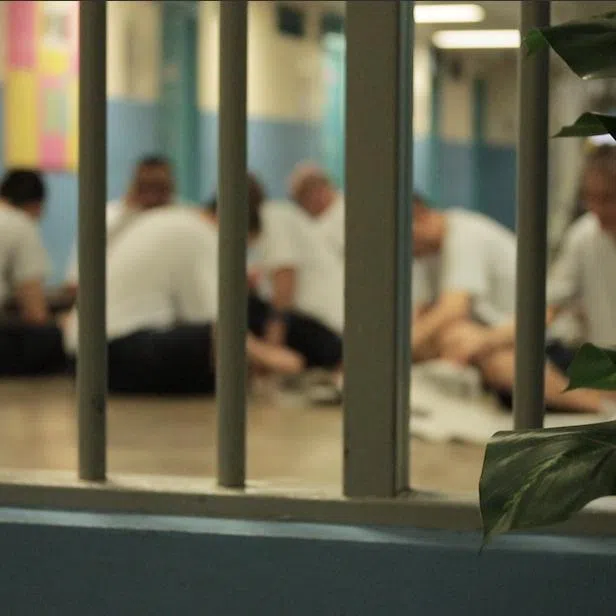 Senior Minister K. Shanmugam said the Government takes a serious view of sexual crimes and imposes stiff penalties, especially when the victims are minors.