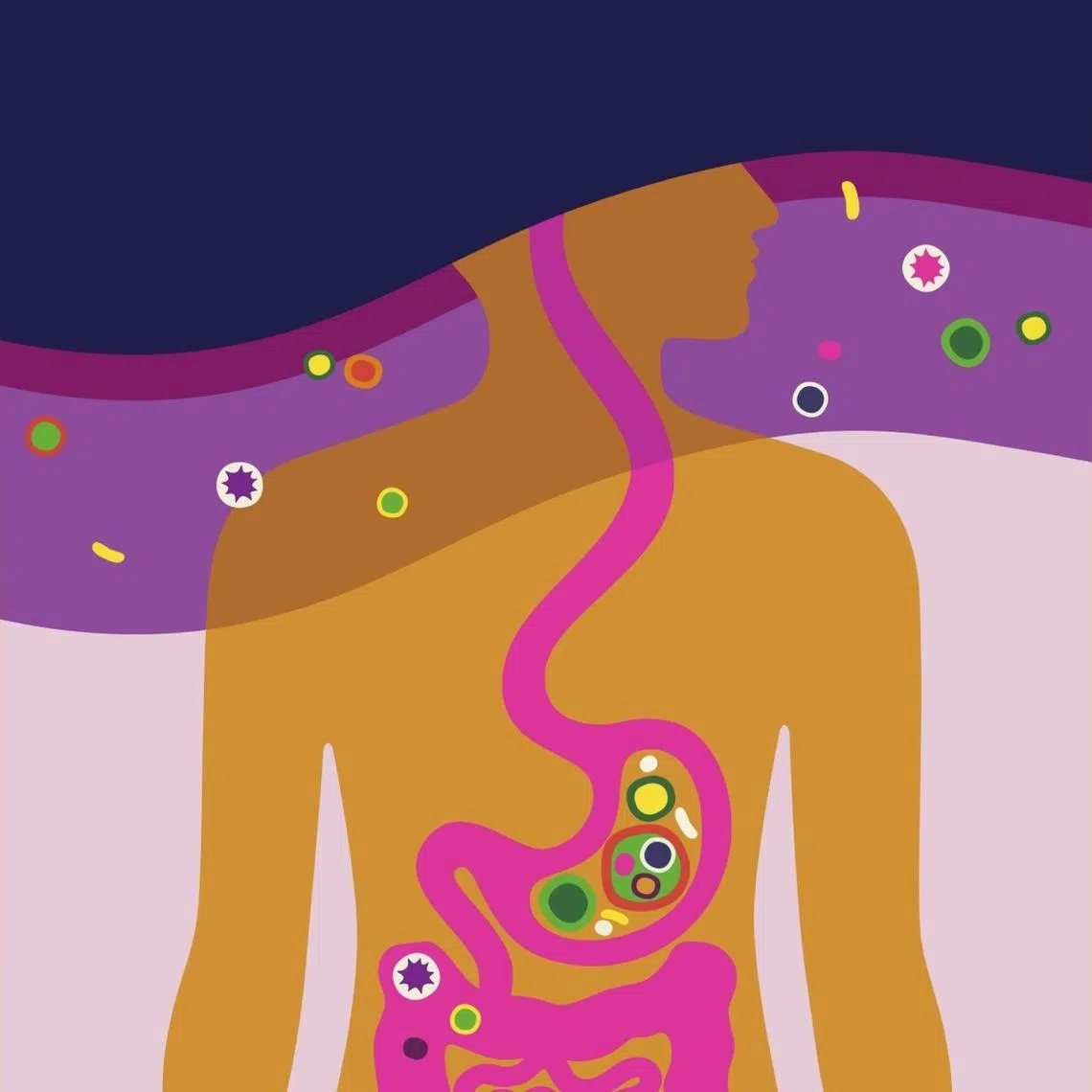 Scientists keep learning more about the connection between the brain and the gastrointestinal system. 