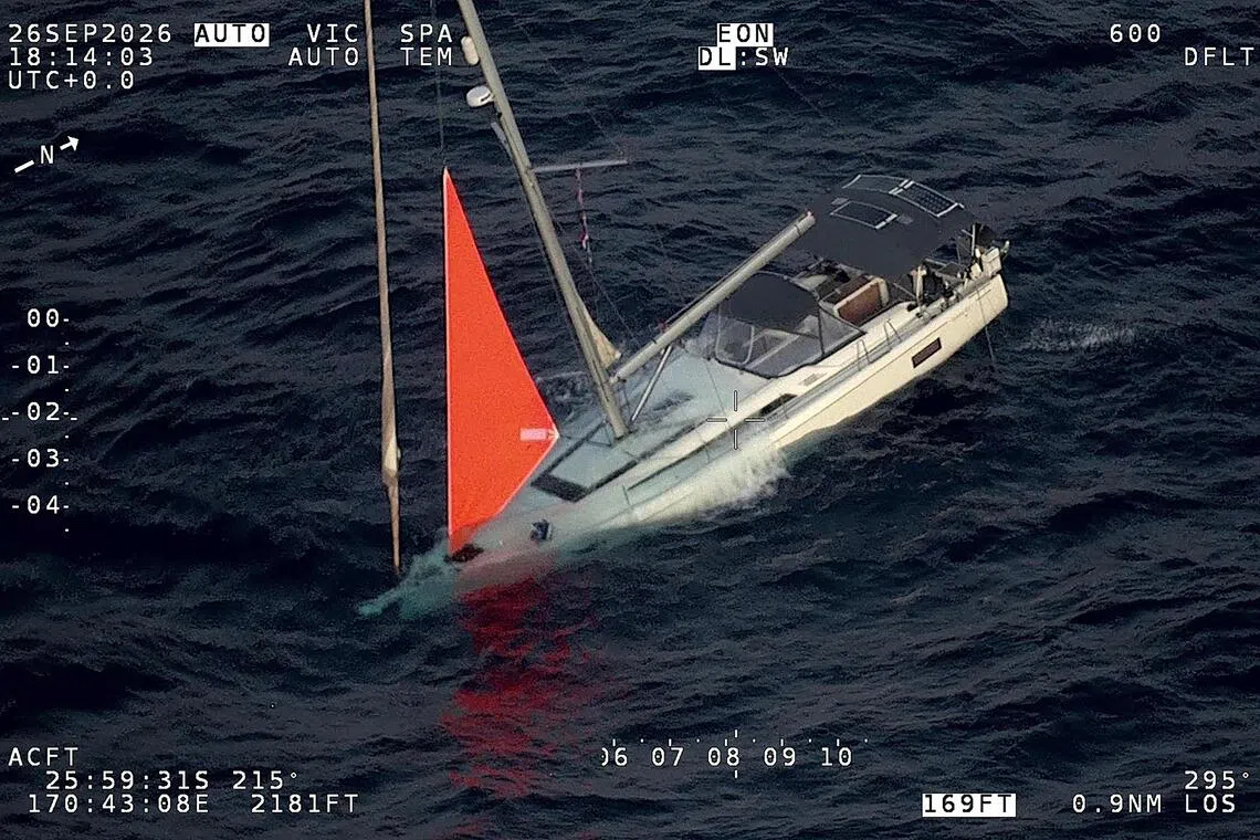 ‘Loud thud’: Sperm whale sinks yacht in South Pacific