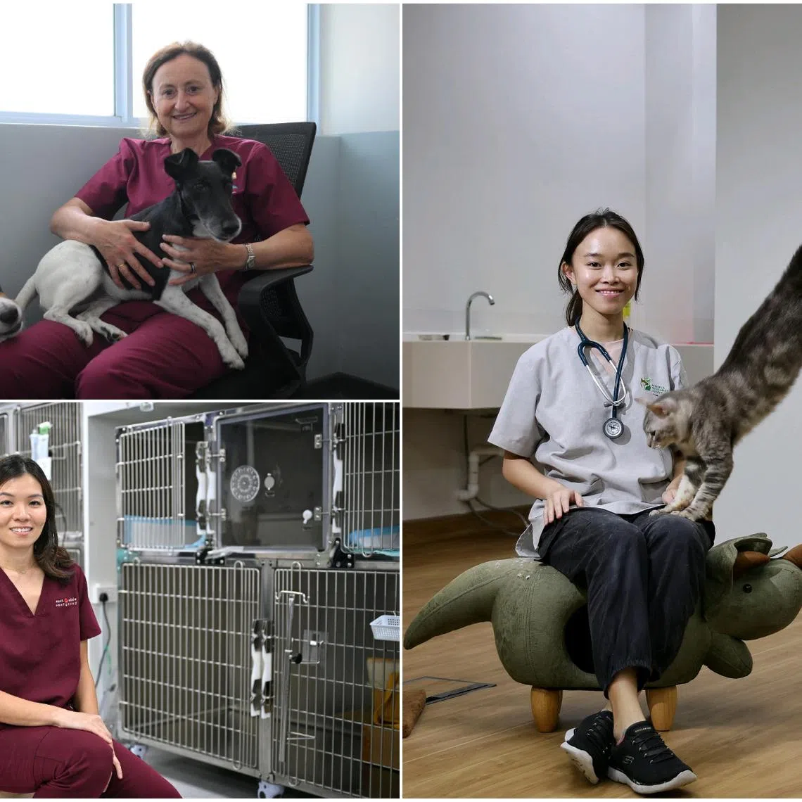 (Clockwise from top left) Dr Emmanuelle Titeux, Singapore’s first board-certified specialist in veterinary behavioural medicine, senior veterinarian Petrina Teo, and Dr Derniese Goh, the first female small animal surgeon practising in Singapore.