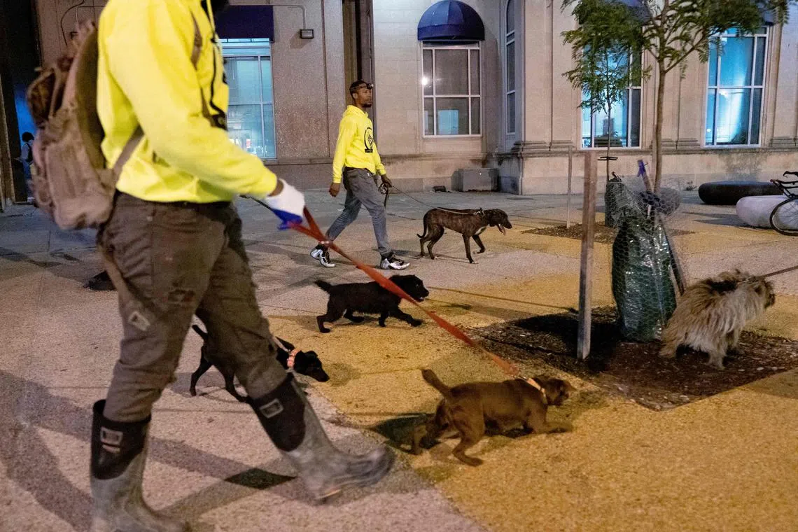 Rat hunters walking with their dogs in the Adams Morgan neighborhood of Washington, DC, on June 3, 2023. 