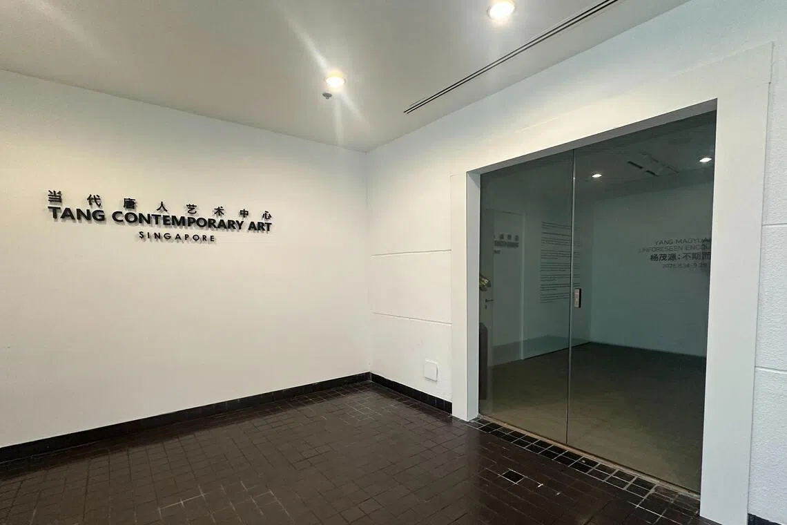 Tang Contemporary Art at Delfi Orchard is allegedly in arrears.