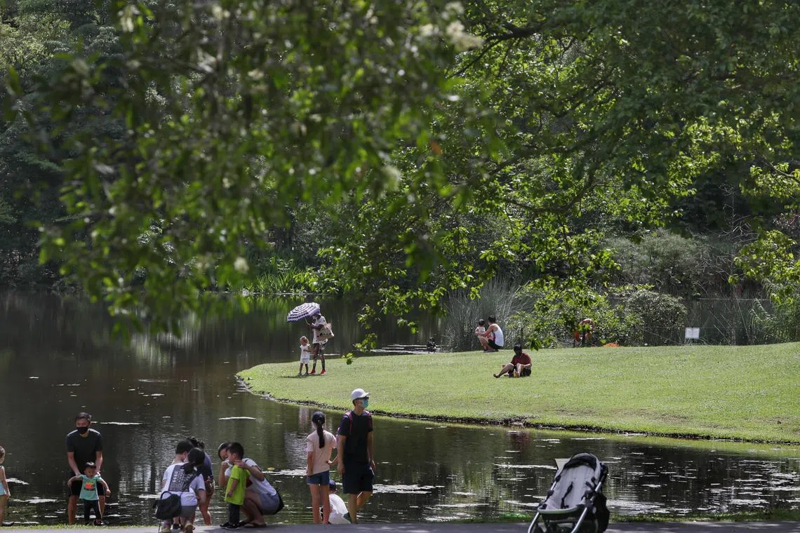 NParks said it is reviewing and updating its contracts, to ensure that works carried out do not deviate from what is stated.