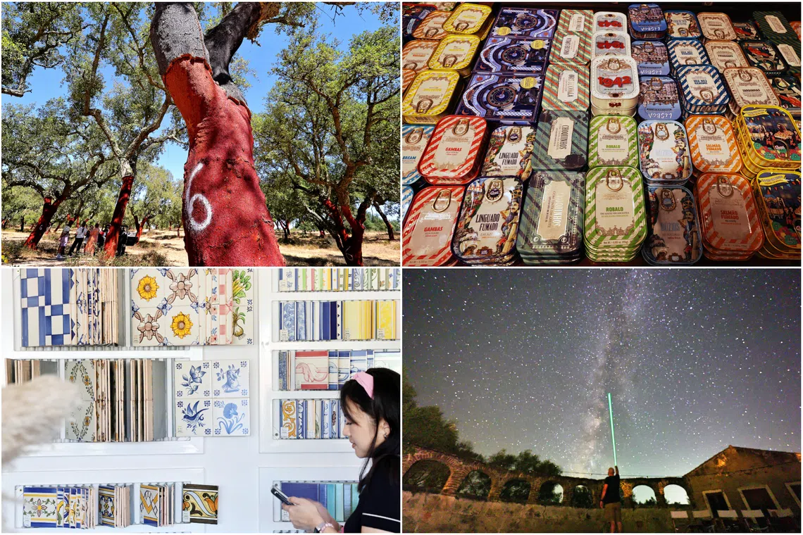 (Clockwise from top-left) NASA-grade cork forests, superfood canned sardines, celestial night sky, and Portuguese azulejos tiles.