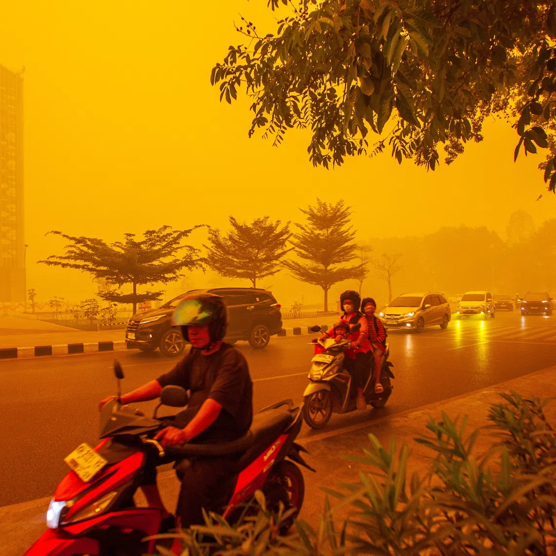 epa13303233 Motorists ride through thick haze from wildfires in Palangkaraya, Central Kalimantan, Indonesia, 14 October 2026. Civil society groups in Borneo have filed a class-action lawsuit demanding that the government address the annual wildfires. El Nino-fueled wildfires in Indonesia's Kalimantan and Sumatra have caused thick haze across the region, resulting in hazardous air quality in neighboring Malaysia and Singapore. EPA/GENDES