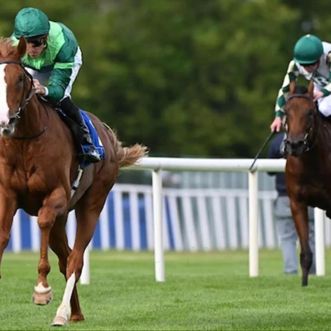 Benvenuto Cellini (Christophe Soumillon) scoring an easy win in the Group 2 Champions Juvenile Stakes (1,600m) at Leopardstown on Sept 13, 2025. He is the current favourite for the Group 1 Epsom Derby (2,400m) on June 6.

