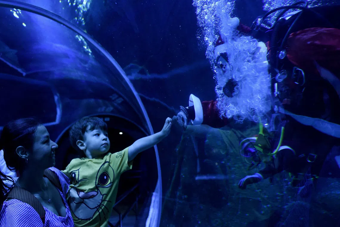 A child touching the glass as he looks at biologist Felippe Luna, dressed as Santa Claus, swimming among fishes at the AquaRio aquarium in Rio de Janeiro, Brazil, on Dec 18, 2025. 