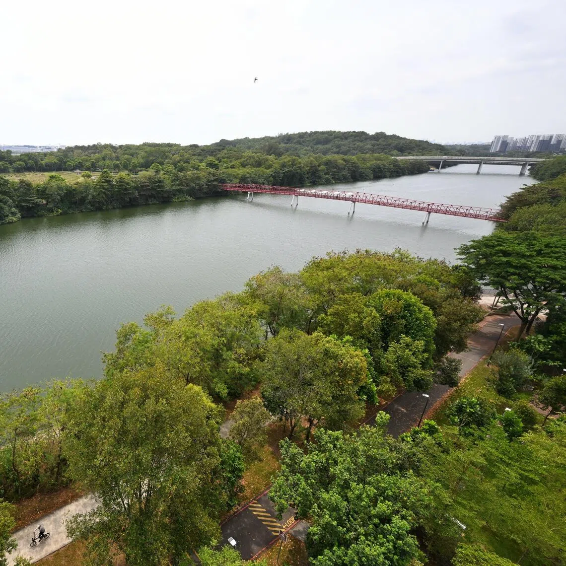 URA will assess the Nature Society Singapore's proposals as it reviews wider development plans in the area.