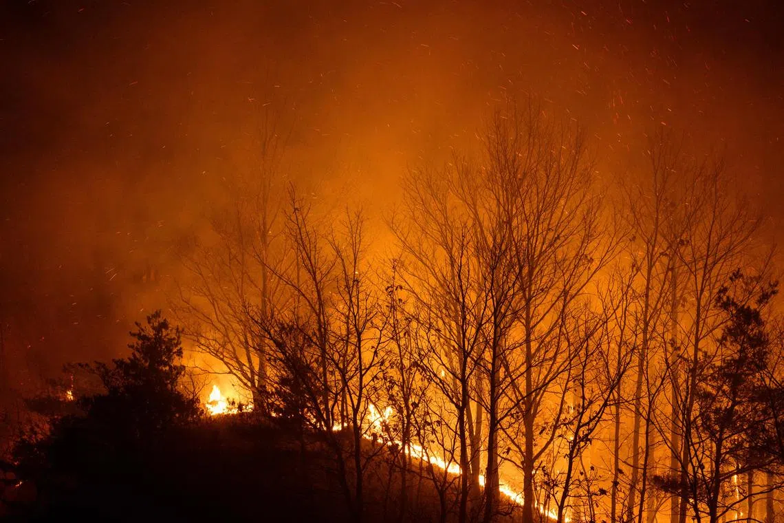 Vast swaths of the country’s south-east were burned in a series of blazes in March, which killed 31 people and destroyed historic sites.