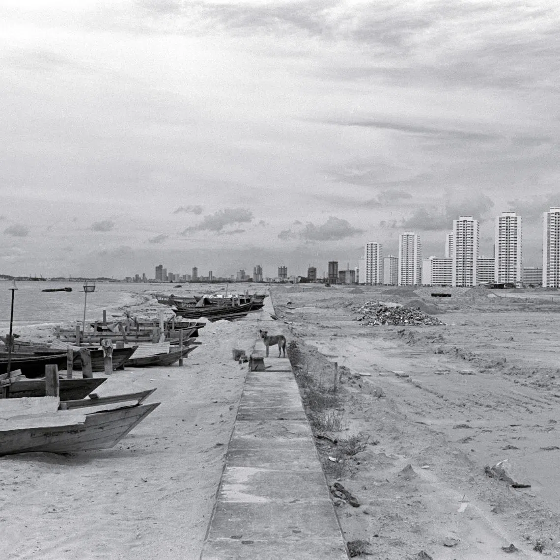 Reclaimed land at Marine Parade, photographed in September 1974, where HDB blocks had begun to spring up.