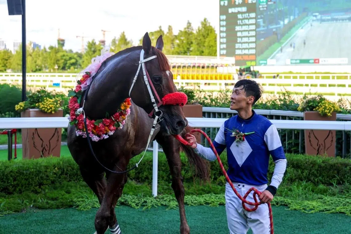 Gangpungma - Gangpungma with his winning jockey Jo Jae-ro after winning the Grade 2 KRA Classic (2,000m) on July 26.

PHOTO: KRA