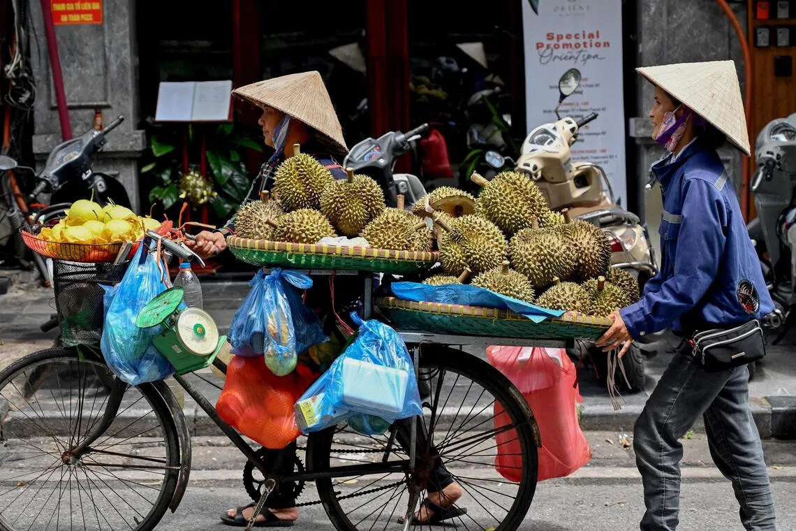 jycolour - AFP pix - Street vendors push bicycle carts carrying durians in Hanoi on August 15, 2024. (Photo by Nhac NGUYEN / AFP)